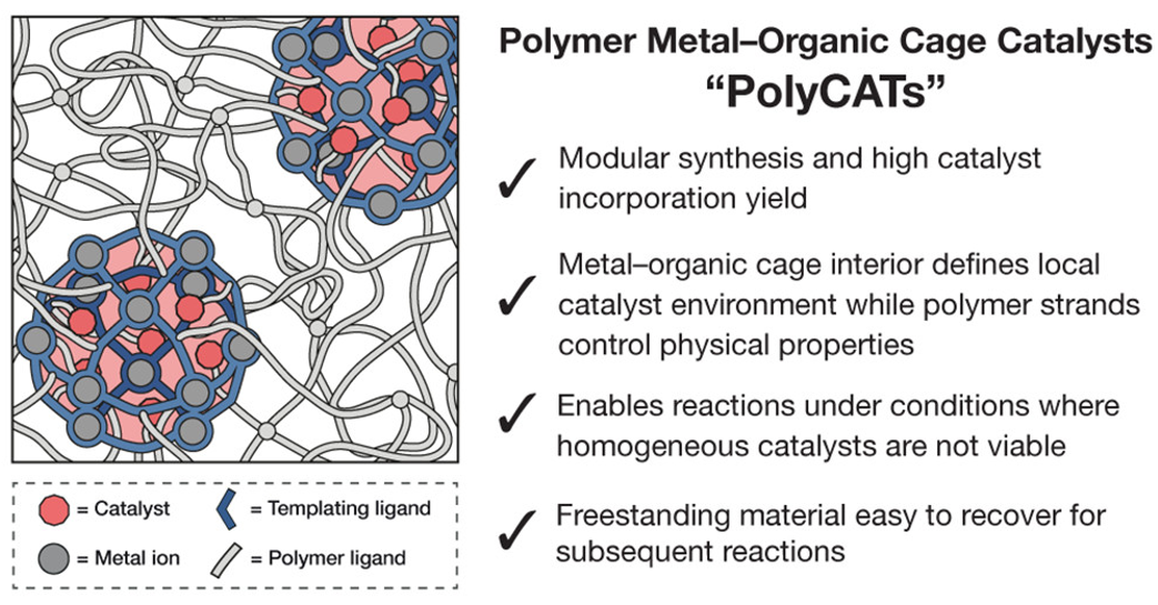 Endohedrally Functionalized CageCrossLinked Polymer