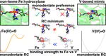 How Do Differences in Electronic Structure Affect the Use of Vanadium Intermediates as Mimics in Nonheme Iron Hydroxylases?