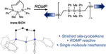Synthesis and Ring-opening Metathesis Polymerization of a Strained trans-Silacycloheptene and Single Molecule Mechanics of its Polymer