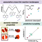 Tailoring Dynamic Hydrogels by Controlling Associative Exchange Rates