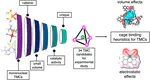 Computational Screening of Putative Catalyst Transition Metal Complexes as Guests in a Ga₄L₆⁻¹² Nanocage