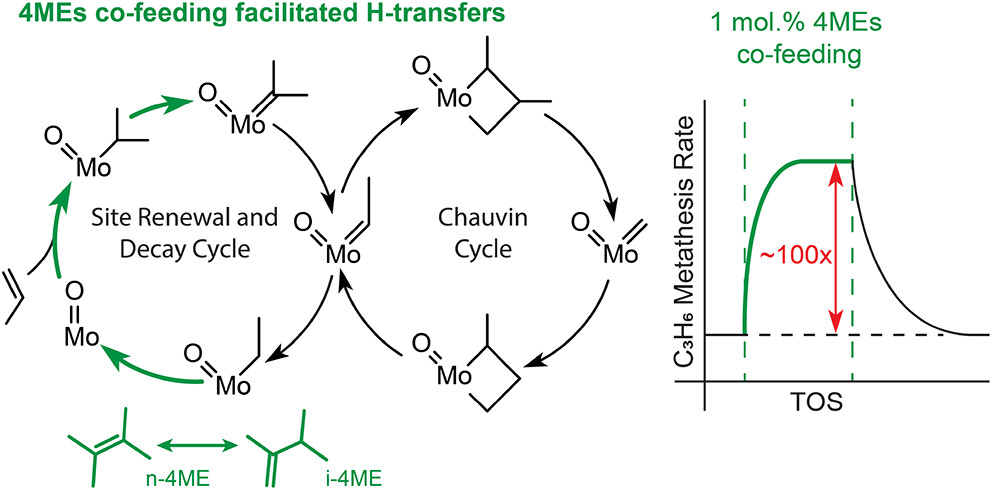 Active Site Dynamics in Molybdenum-Based Silica-Supported Olefin ...